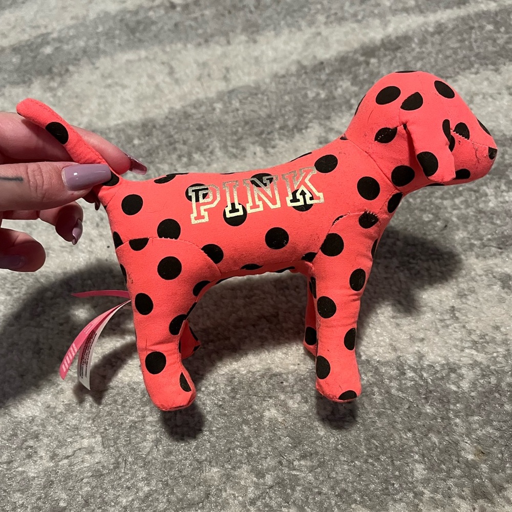 VS PINK Dog